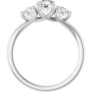 Platinum 1 CTW Natural Diamond Three-Stone Engagement Ring