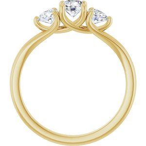 14K Yellow Gold 3/4 CTW Natural Diamond Three-Stone Engagement Ring