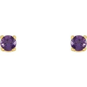 14K Yellow Gold 2.5 mm Natural Amethyst Earrings